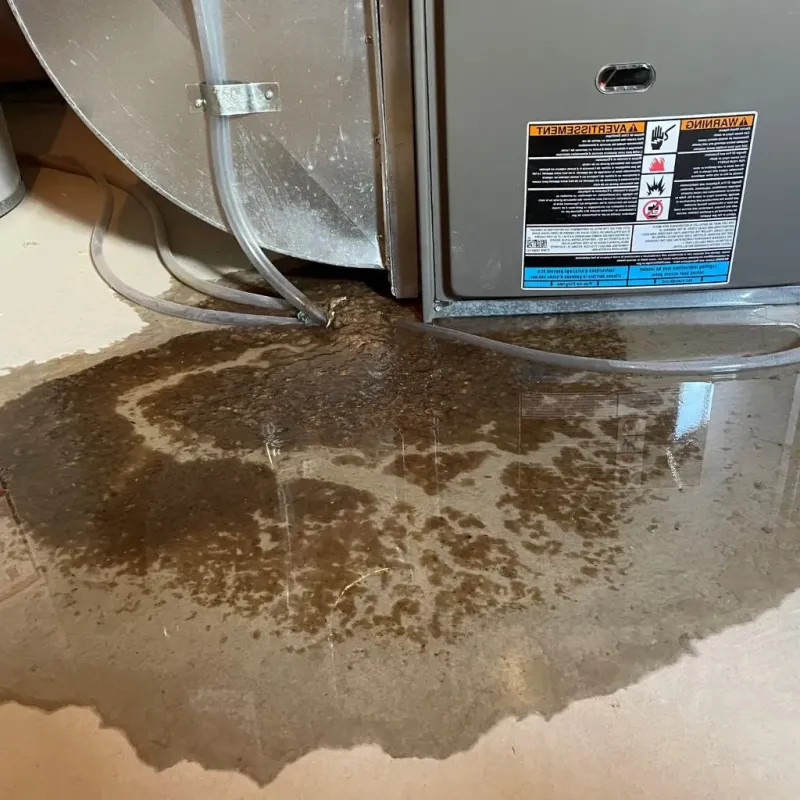 Pipe Burst and Leak Restoration in Bloomfield Hills, MI